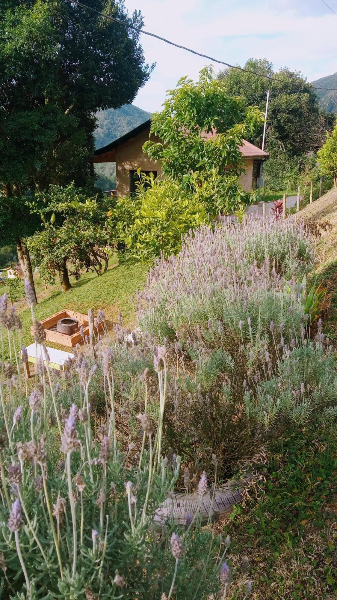 Sonho Na Serra Chale 2 Gonçalves Екстериор снимка